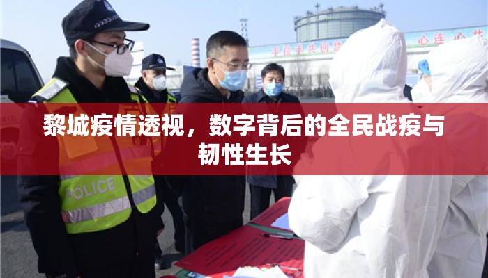 黎城疫情透视，数字背后的全民战疫与韧性生长