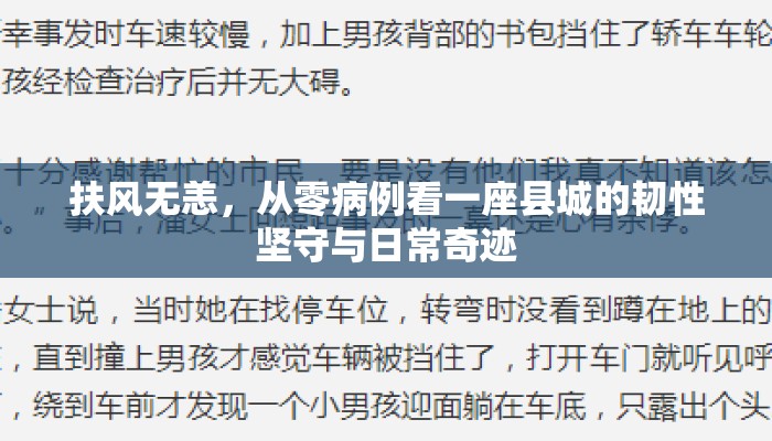 扶风无恙，从零病例看一座县城的韧性坚守与日常奇迹