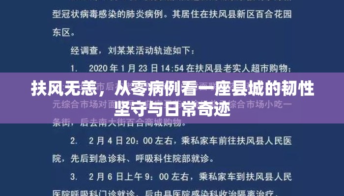 扶风无恙，从零病例看一座县城的韧性坚守与日常奇迹