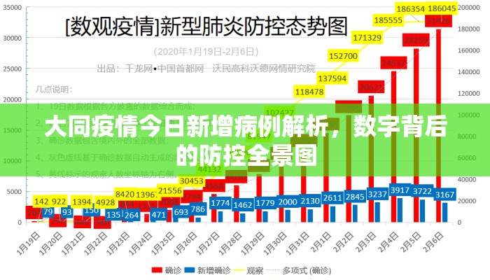 大同疫情今日新增病例解析，数字背后的防控全景图