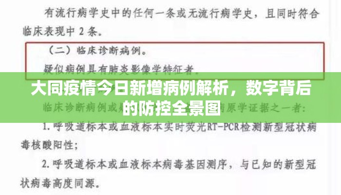 大同疫情今日新增病例解析，数字背后的防控全景图