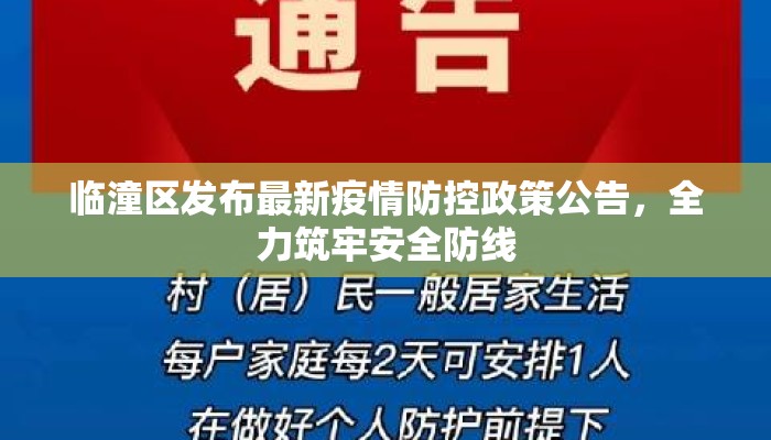 临潼区发布最新疫情防控政策公告，全力筑牢安全防线