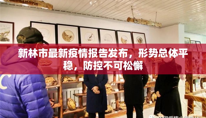 新林市最新疫情报告发布，形势总体平稳，防控不可松懈