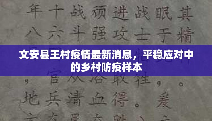 文安县王村疫情最新消息，平稳应对中的乡村防疫样本