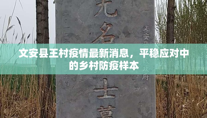 文安县王村疫情最新消息，平稳应对中的乡村防疫样本