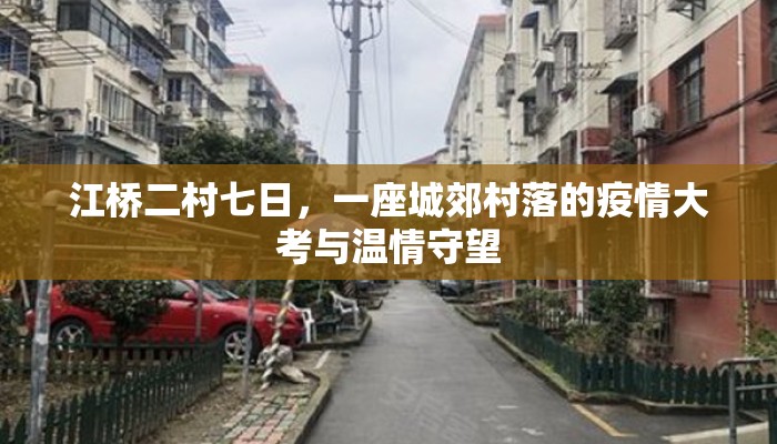江桥二村七日，一座城郊村落的疫情大考与温情守望