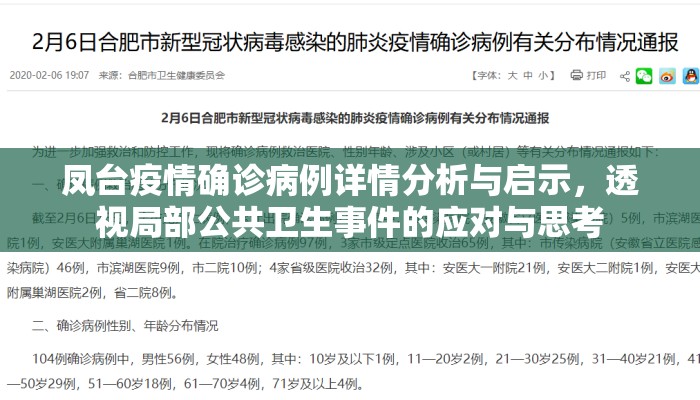 凤台疫情确诊病例详情分析与启示，透视局部公共卫生事件的应对与思考