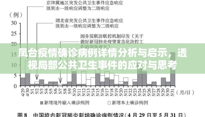 凤台疫情确诊病例详情分析与启示，透视局部公共卫生事件的应对与思考