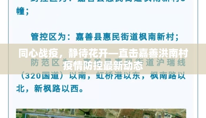 同心战疫，静待花开—直击嘉善洪南村疫情防控最新动态