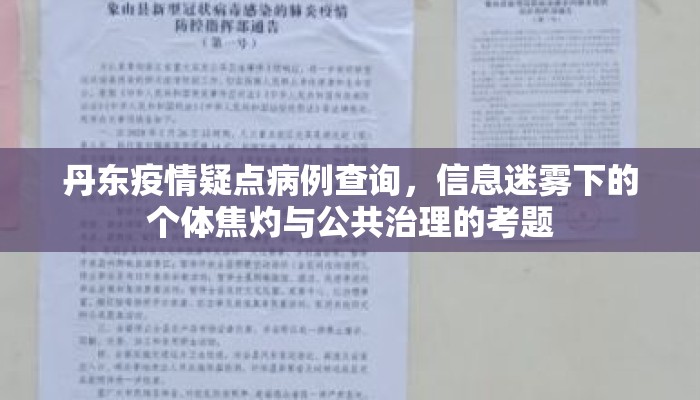 丹东疫情疑点病例查询，信息迷雾下的个体焦灼与公共治理的考题