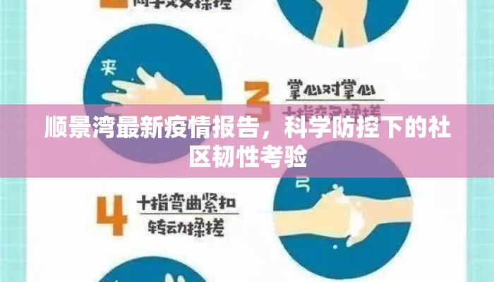 顺景湾最新疫情报告，科学防控下的社区韧性考验