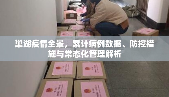 巢湖疫情全景，累计病例数据、防控措施与常态化管理解析