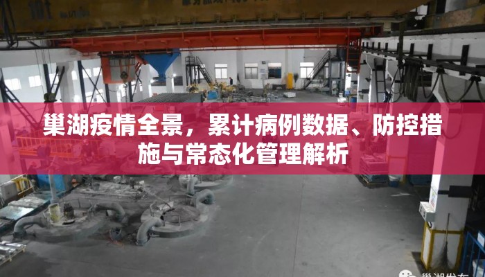 巢湖疫情全景，累计病例数据、防控措施与常态化管理解析