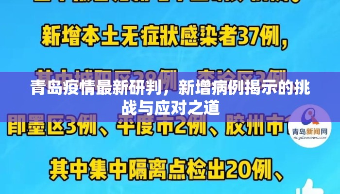 青岛疫情最新研判，新增病例揭示的挑战与应对之道