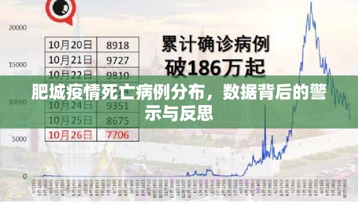 肥城疫情死亡病例分布，数据背后的警示与反思