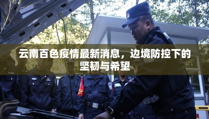 云南百色疫情最新消息，边境防控下的坚韧与希望