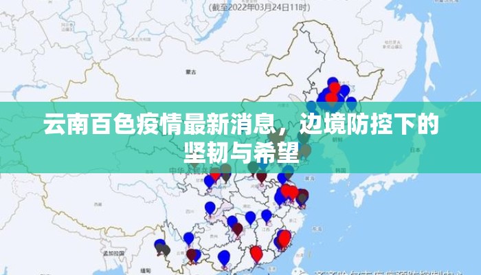 云南百色疫情最新消息，边境防控下的坚韧与希望