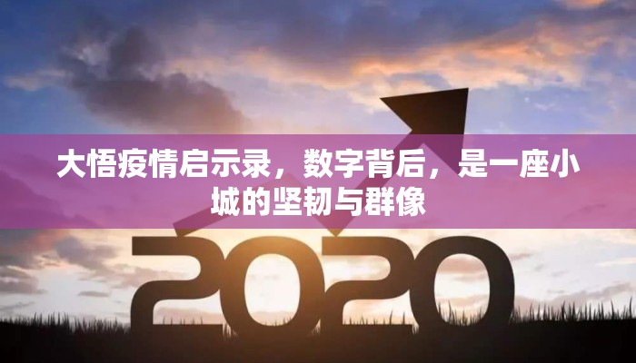 大悟疫情启示录，数字背后，是一座小城的坚韧与群像