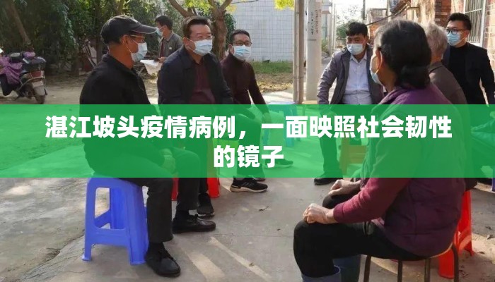 湛江坡头疫情病例，一面映照社会韧性的镜子