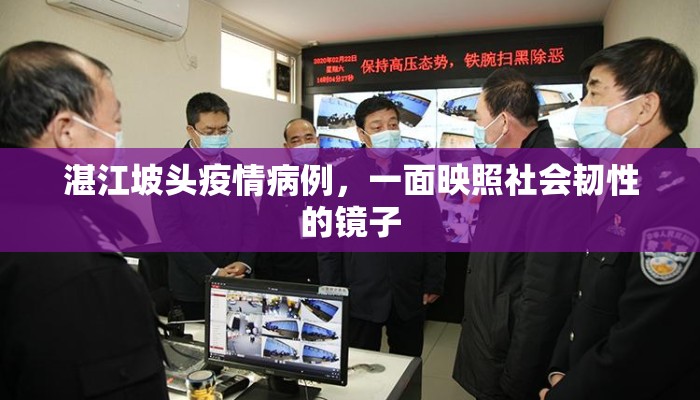 湛江坡头疫情病例，一面映照社会韧性的镜子