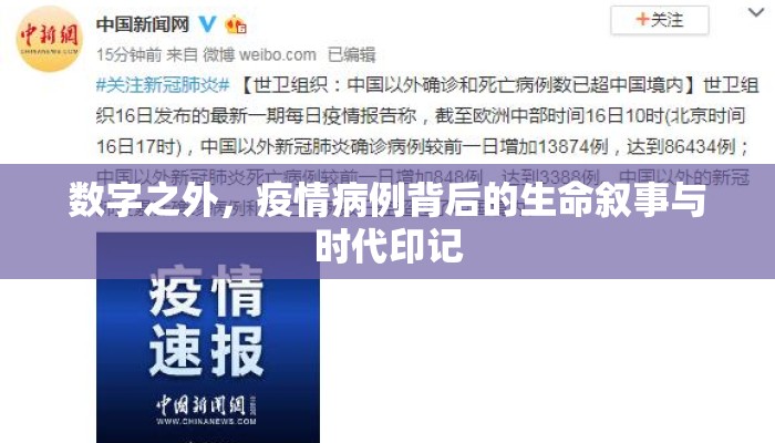 数字之外，疫情病例背后的生命叙事与时代印记