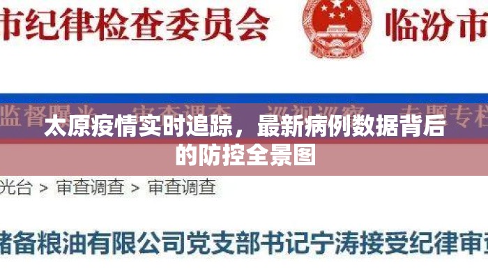 太原疫情实时追踪，最新病例数据背后的防控全景图