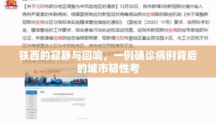 铁西的寂静与回响，一例确诊病例背后的城市韧性考