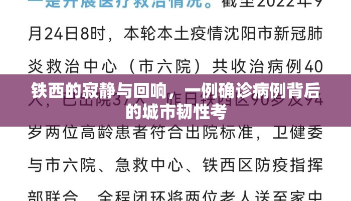 铁西的寂静与回响，一例确诊病例背后的城市韧性考