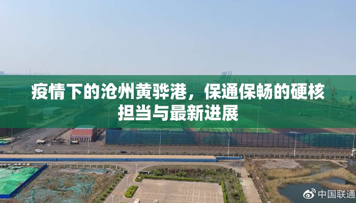 疫情下的沧州黄骅港，保通保畅的硬核担当与最新进展