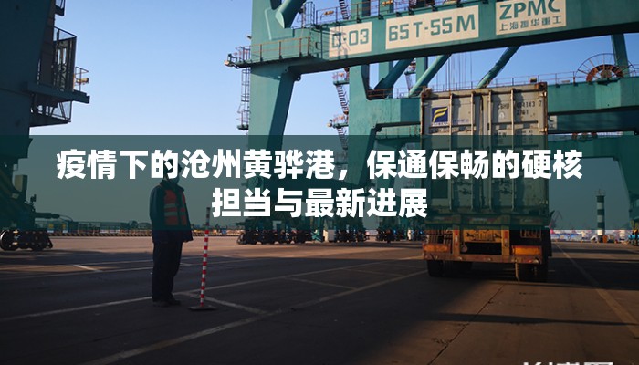 疫情下的沧州黄骅港，保通保畅的硬核担当与最新进展