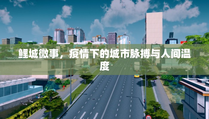 鲤城微事，疫情下的城市脉搏与人间温度