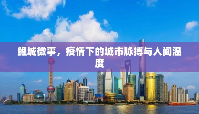 鲤城微事，疫情下的城市脉搏与人间温度
