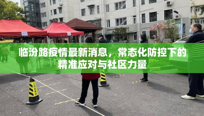 临汾路疫情最新消息，常态化防控下的精准应对与社区力量