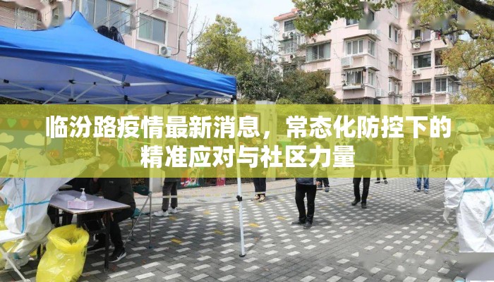 临汾路疫情最新消息，常态化防控下的精准应对与社区力量