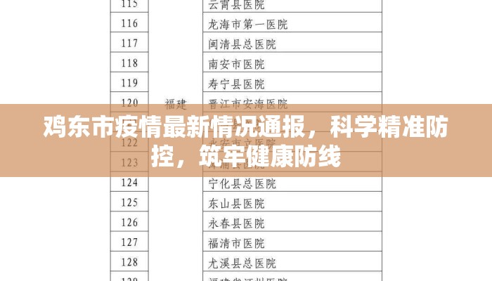 鸡东市疫情最新情况通报，科学精准防控，筑牢健康防线