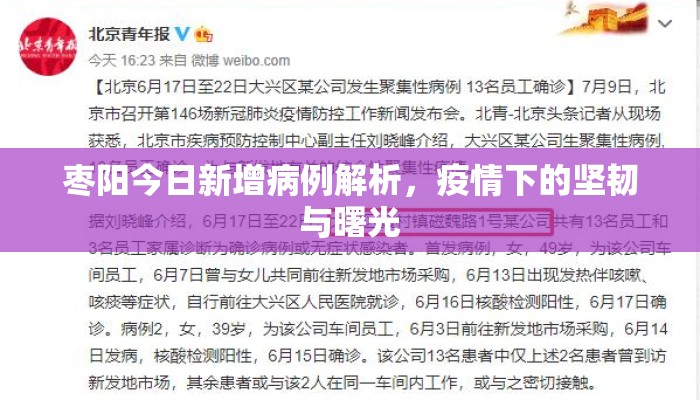 枣阳今日新增病例解析，疫情下的坚韧与曙光
