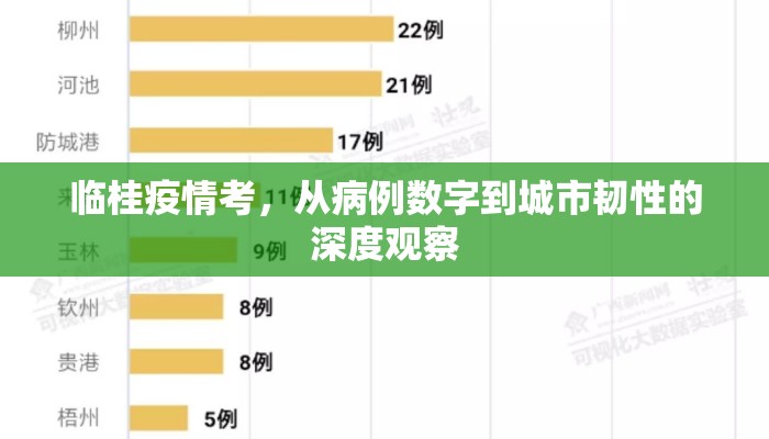 临桂疫情考，从病例数字到城市韧性的深度观察