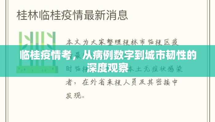 临桂疫情考，从病例数字到城市韧性的深度观察