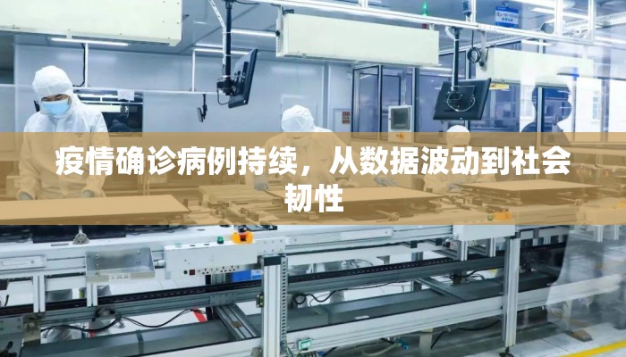 疫情确诊病例持续，从数据波动到社会韧性