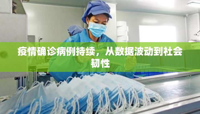 疫情确诊病例持续，从数据波动到社会韧性