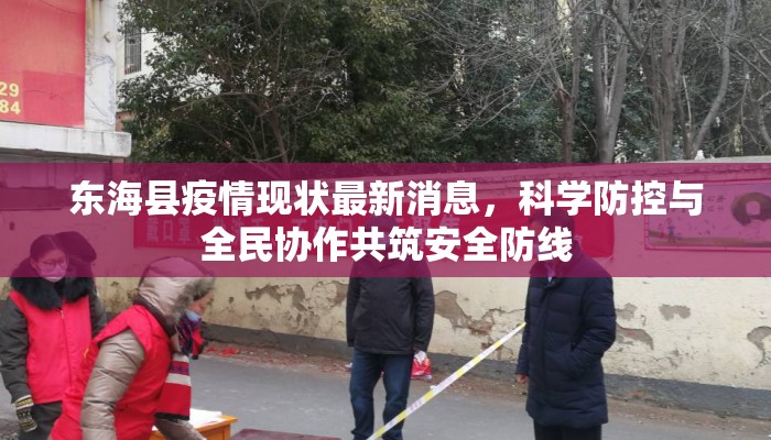 东海县疫情现状最新消息，科学防控与全民协作共筑安全防线