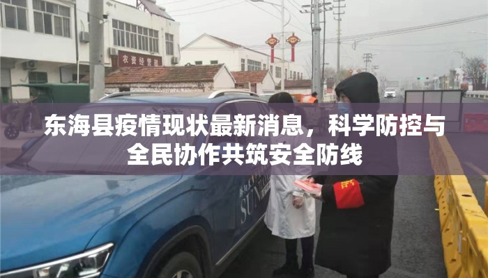 东海县疫情现状最新消息，科学防控与全民协作共筑安全防线