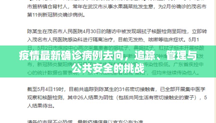 疫情最新确诊病例去向，追踪、管理与公共安全的挑战