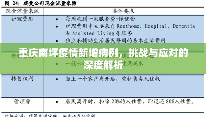 重庆南坪疫情新增病例，挑战与应对的深度解析