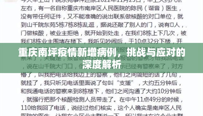 重庆南坪疫情新增病例，挑战与应对的深度解析