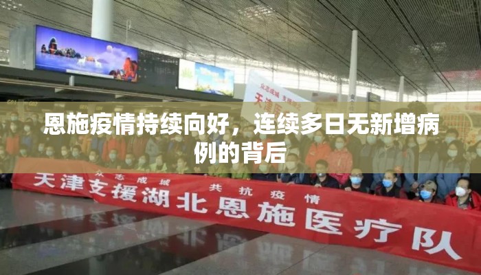 恩施疫情持续向好，连续多日无新增病例的背后