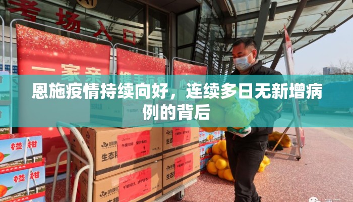 恩施疫情持续向好，连续多日无新增病例的背后