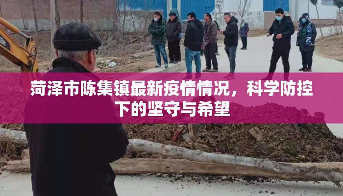 菏泽市陈集镇最新疫情情况，科学防控下的坚守与希望