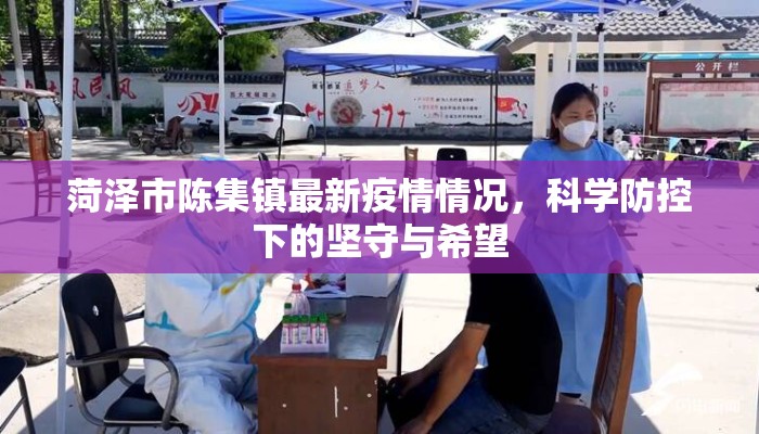 菏泽市陈集镇最新疫情情况，科学防控下的坚守与希望