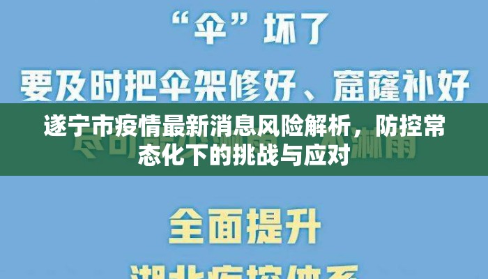 遂宁市疫情最新消息风险解析，防控常态化下的挑战与应对